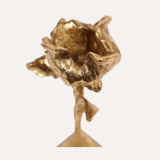 Brass Rose on Acrylic