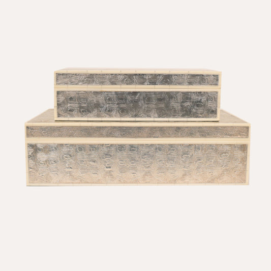 Metallic Tortoise Box