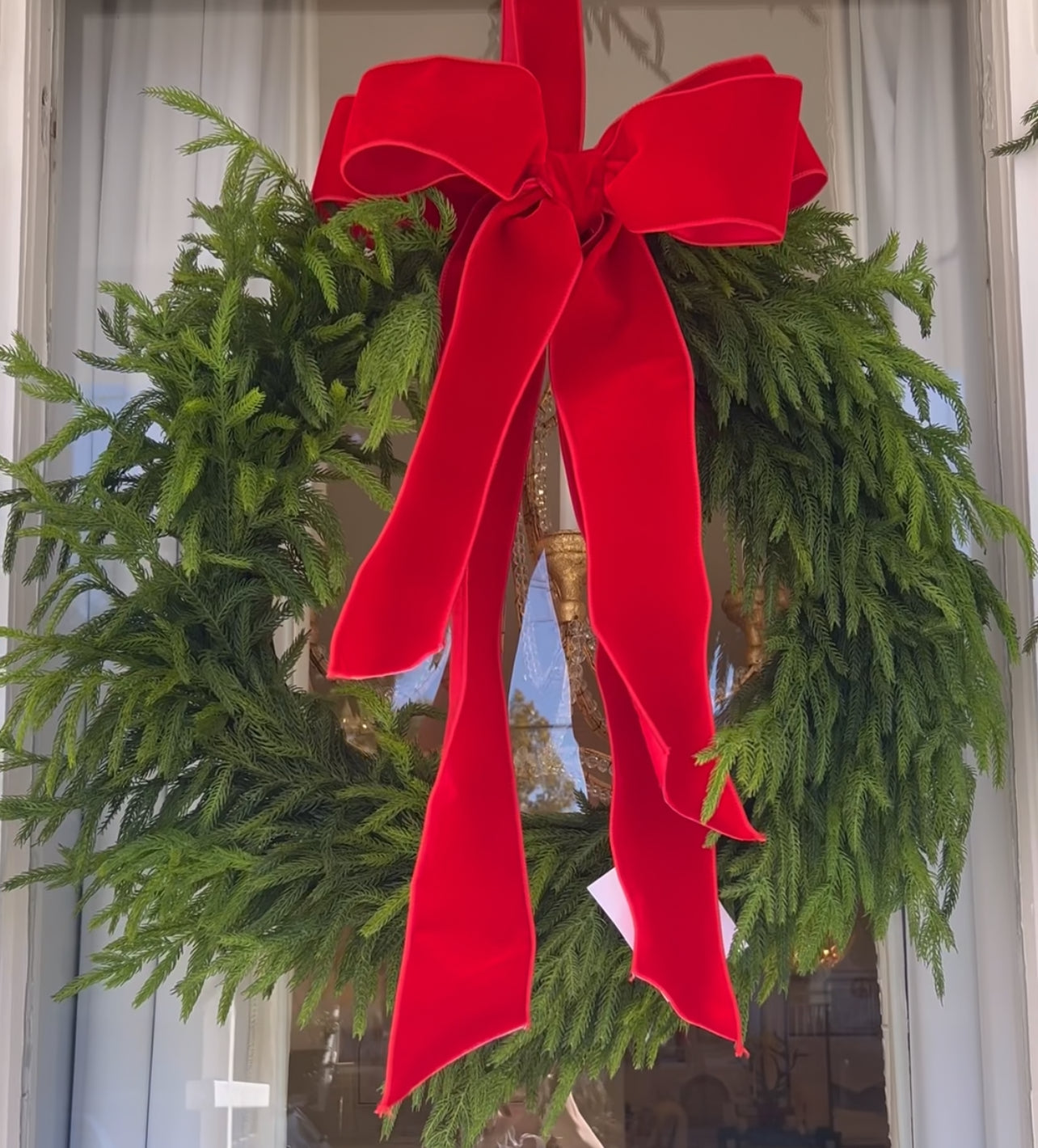 24" Pine Wreath