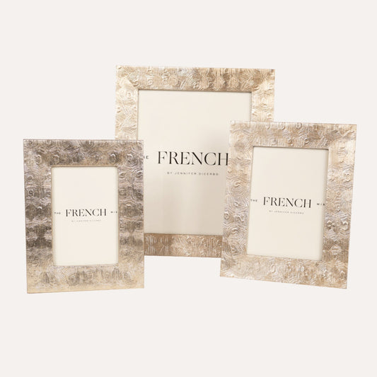 Warm Silver Tortoise Picture Frame